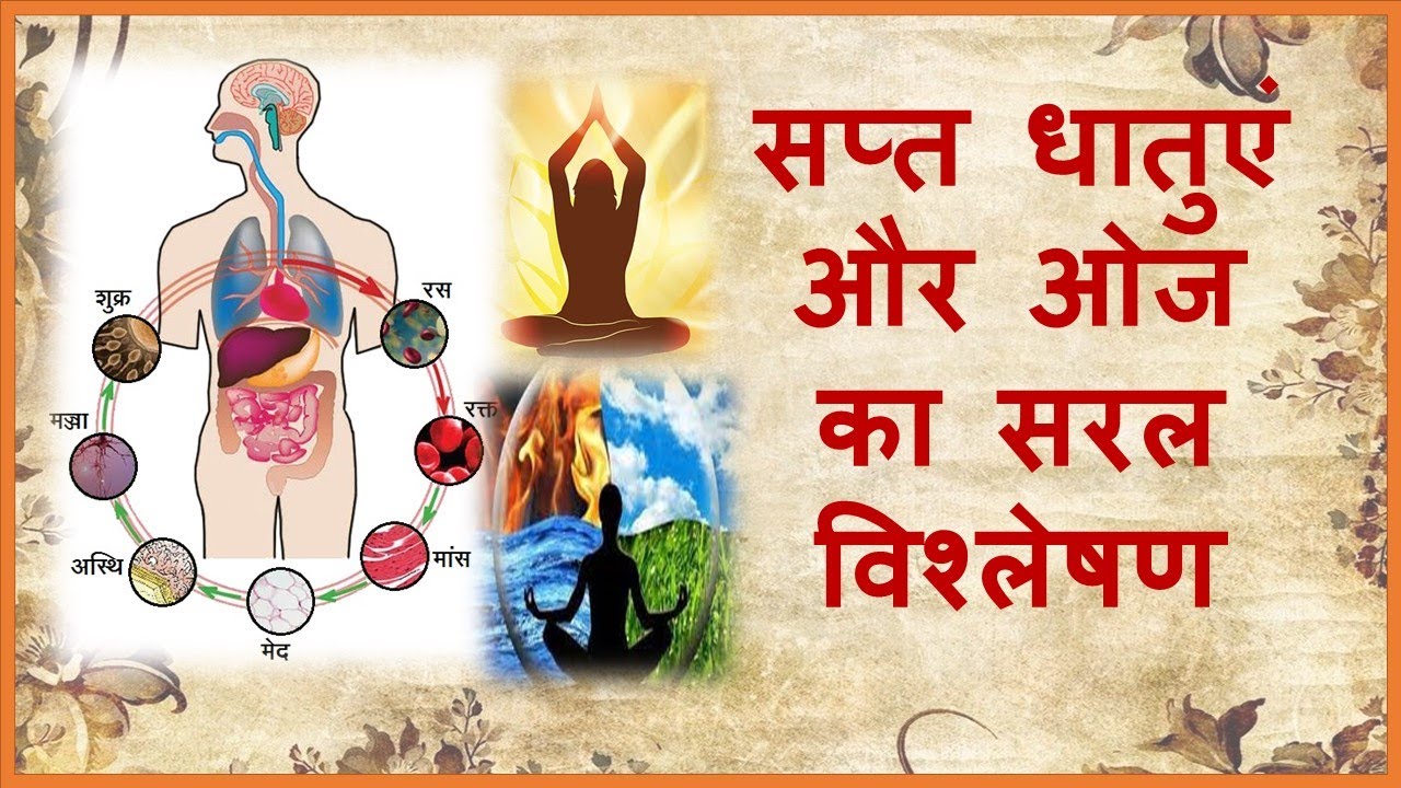 Importance Of Dhatus According To Ayurveved Chandigarh Ayurved