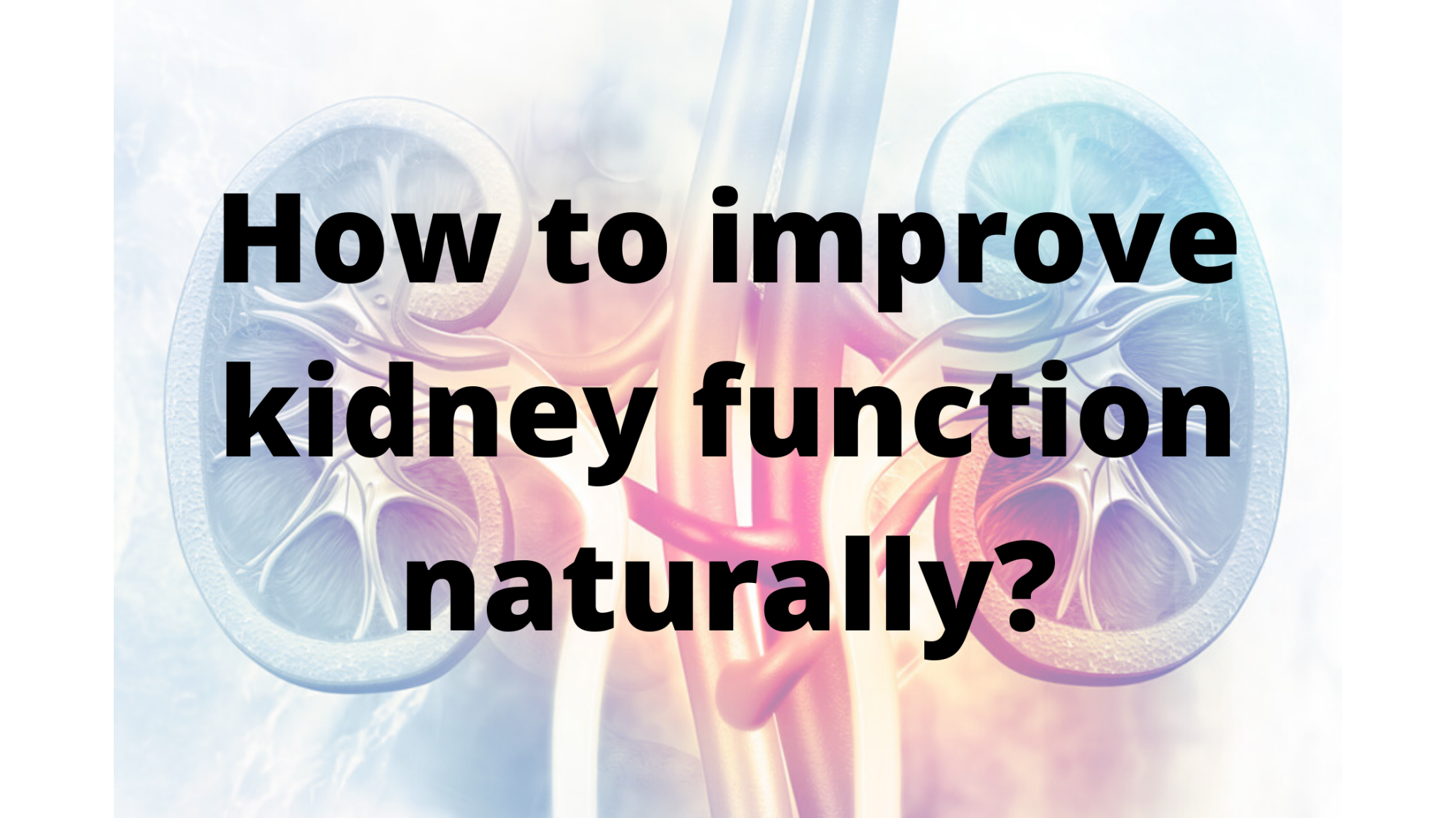 How To Improve Kidney Function In Ayurveda Through Natural Remedies 