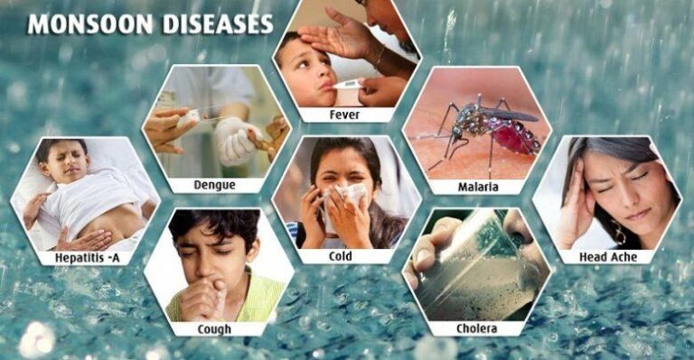 common diseases in rainy season essay