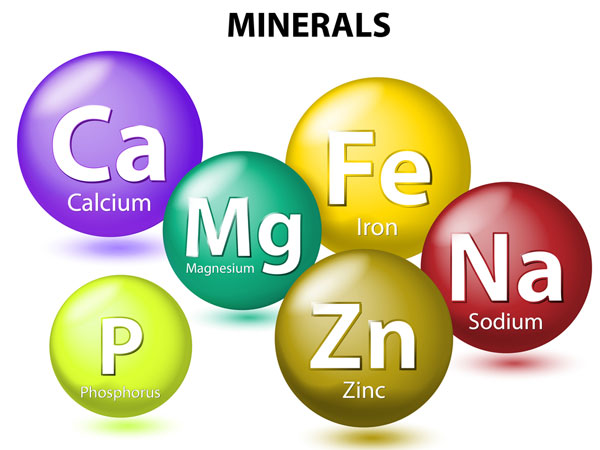 Importance Of Minerals To Our Body 28 1461833727 